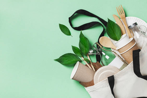 The Rise of Eco-Friendly Products in 2023