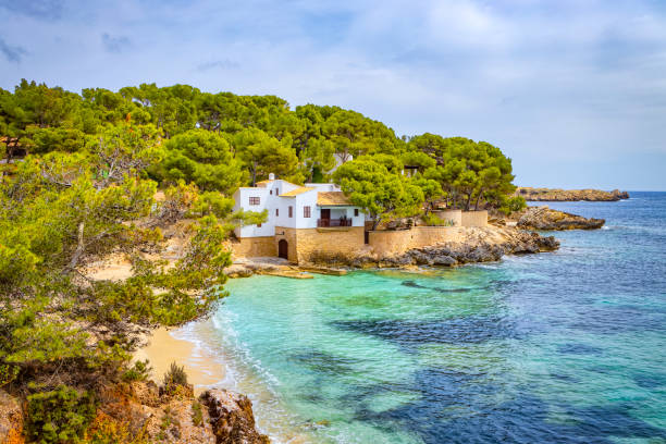 Seamless Transactions: The Role of a Property Buying Agent in Mallorca Real Estate