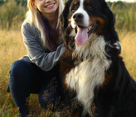 Puppy Training Classes Orange County California