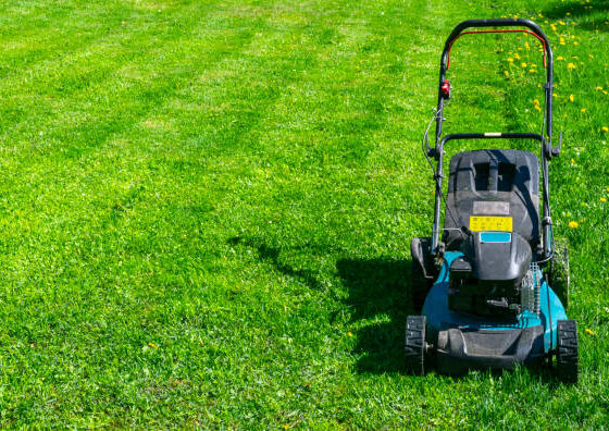 lawn care services