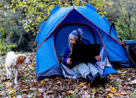 pet tent