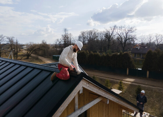 roof washing service