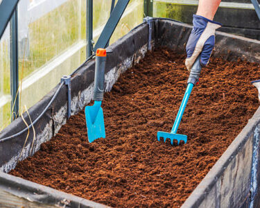 Person loosening prepared soil in greenhouse planting bed using small rake and garden trowel. Sweden.