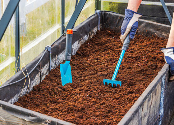 Person loosening prepared soil in greenhouse planting bed using small rake and garden trowel. Sweden.