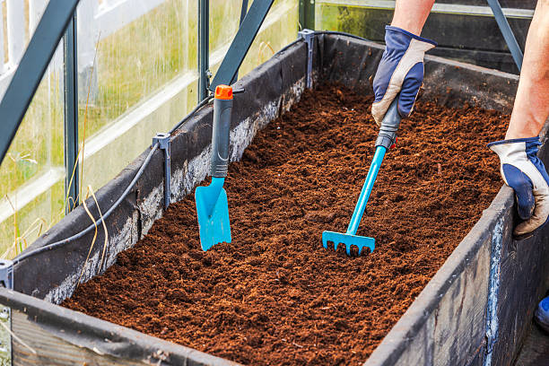 When Is the Best Time for Lawn Aeration and Seeding in West Michigan?