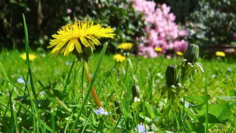 Your Outdoor Space in Madison WI is Just as Important as The Inside of Your Home