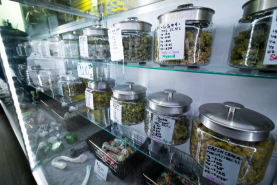 cannabis dispensary