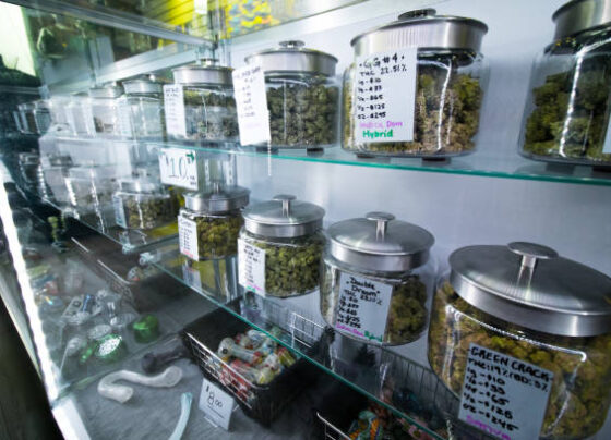 cannabis dispensary